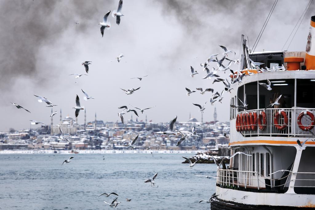 מלון איסטמבול 10 Karakoy מראה חיצוני תמונה The Bosphorus in winter